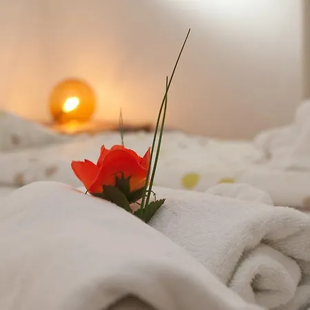 Apartment Meri アパート